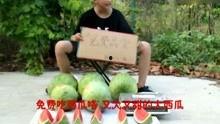 娱乐搞笑吃瓜视频
